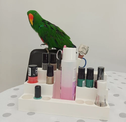 Bar à vernis imprimé en 3D